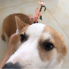 〖热缩片〗〖新手教程〗热缩桃花发簪