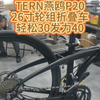 TERN燕鸥P20，26寸轮组折叠车，轻松30发力40#折叠车 #TERN燕鸥 #老刘只懂车