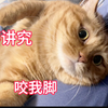 哥哥从非洲回来教了小猫咪一回猎狗掏肛就记住了老咬肥猫屁股