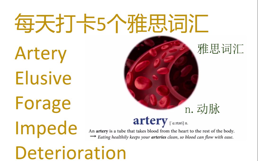 每天打卡5个雅思词汇 artery, elusive, forage, impede, deterioration.哔哩哔哩bilibili