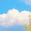 干净的天空 洁白的云朵 天空视频素材 #视频素材 #素材 #天空素材 可商用素材 快收藏创作吧