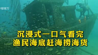 沉浸式一口气看完渔民<em class="keyword">海底</em>赶海捞海货，马蹄哒哒哒！