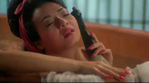 偷晴宝鉴【叶子楣】