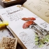 【小林同学28】复古的手绘蘑菇手帐