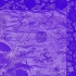 龙胆紫 F.T.W 全专辑