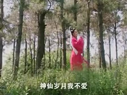 黄梅戏《张四姐下凡》