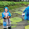 生态农业（江湾水八仙