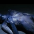 【X—战警】魔形女Mystique (Rebecca Romijn) - All Scenes P
