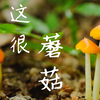 拍了整个夏天，几十种蘑菇  | 植物 | 手绘 | 治愈系