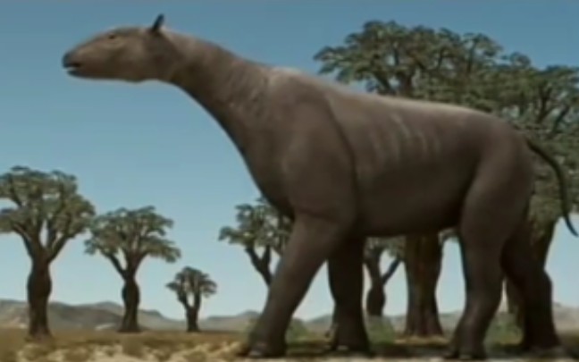 恐龙消失后的世界：巨犀。身长8米。它的骨架在日本东京博物馆展览其外酷似一只恐龙它的名字叫做巨犀体型是非洲象的两倍这是地球历史上最大的陆地哺乳动物据说要保持这样。