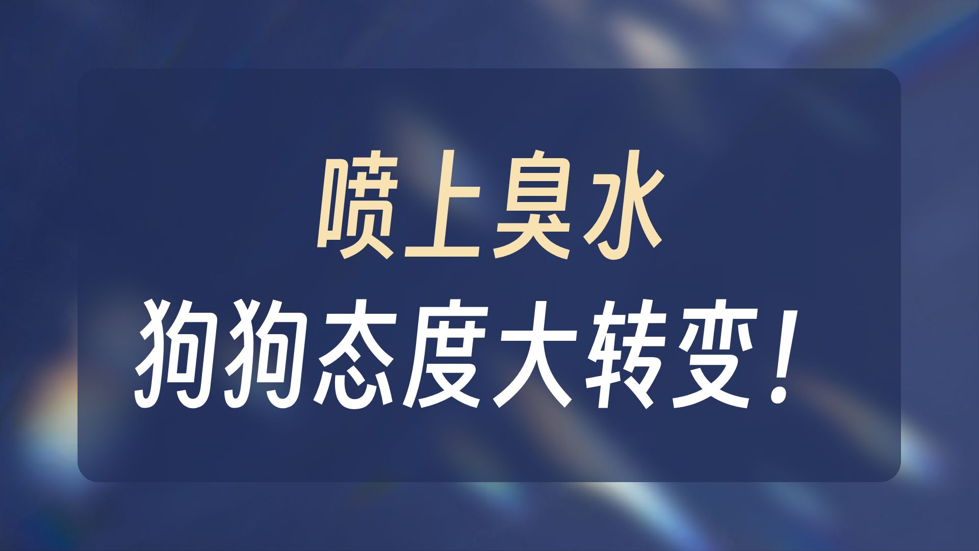 粑粑喷雾能否改变狗狗对我的态度？