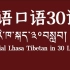 藏语拉萨口语30讲-第20课《二十一度母赞》讲解15、16 藏语中与文化生活相关的表达