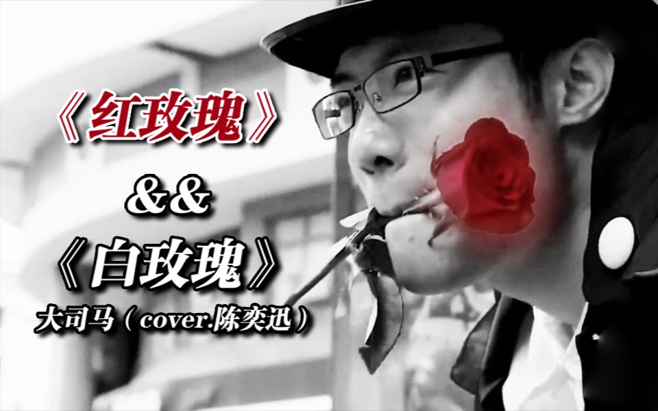 【大司马】【国粤双语】红/白玫瑰⚡
