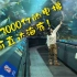 造价3000亿的电梯可直达海底！？上海海洋水族馆全纪录！！！