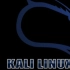 Kali Linux web攻防网络安全黑客入门基础渗透测试教程