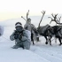 骑着驯鹿打仗 揭秘俄罗斯北极独立旅