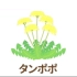 日语入门  各种花的名字 教学版单词  适合启蒙  自学