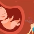 孕妇胎教音乐-助于宝宝大脑发育、胎动