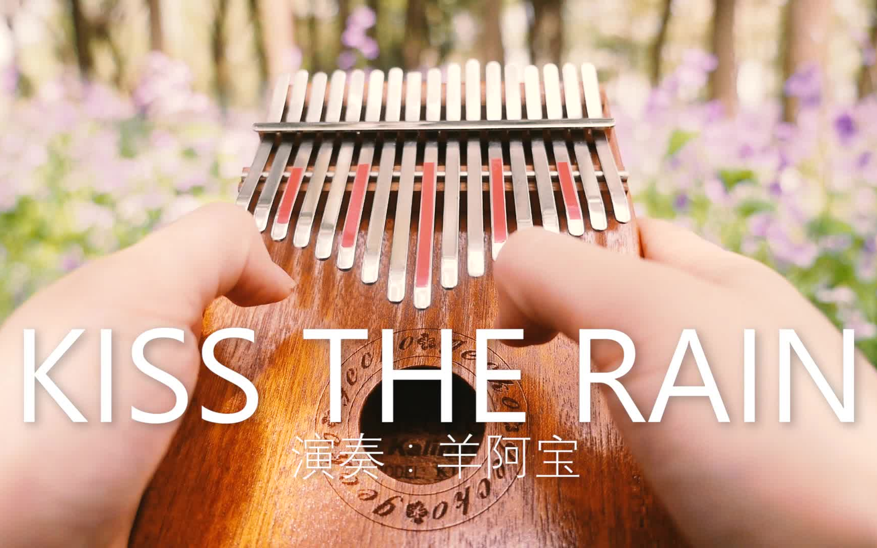超好听的纯音乐 Kiss the rain雨的印记 一首公认的好听的钢琴曲【PianoPanda】_哔哩哔哩_bilibili