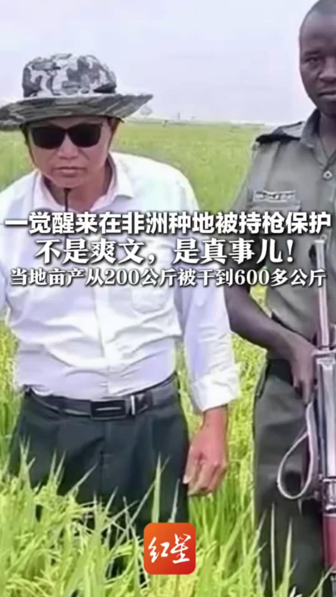 一觉醒来在非洲种地被持枪保护 不是爽文，是真事儿！ 贵州大叔杨秀刚种水稻太牛 当地亩产从200公斤干到600多公斤