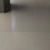 小猫偷吃高中生早餐，坏猫猫
