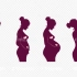 孕期产检项目及时间表