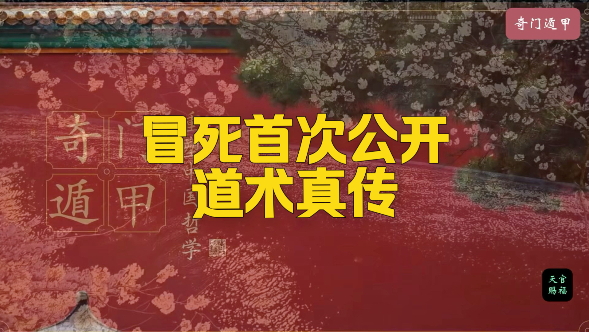 首次公开 道家真传（玄学篇）