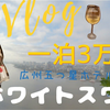 中国広州Vlog｜带你体验广州第一家五星级宾馆白天鹅酒店