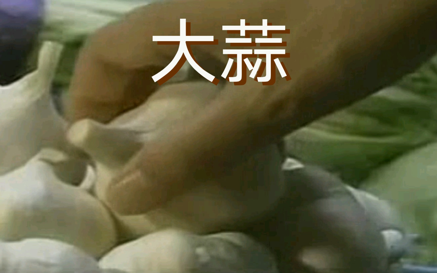 【日恐】女子为做咖喱饭偷了一颗大蒜，惊动全世界「大蒜」