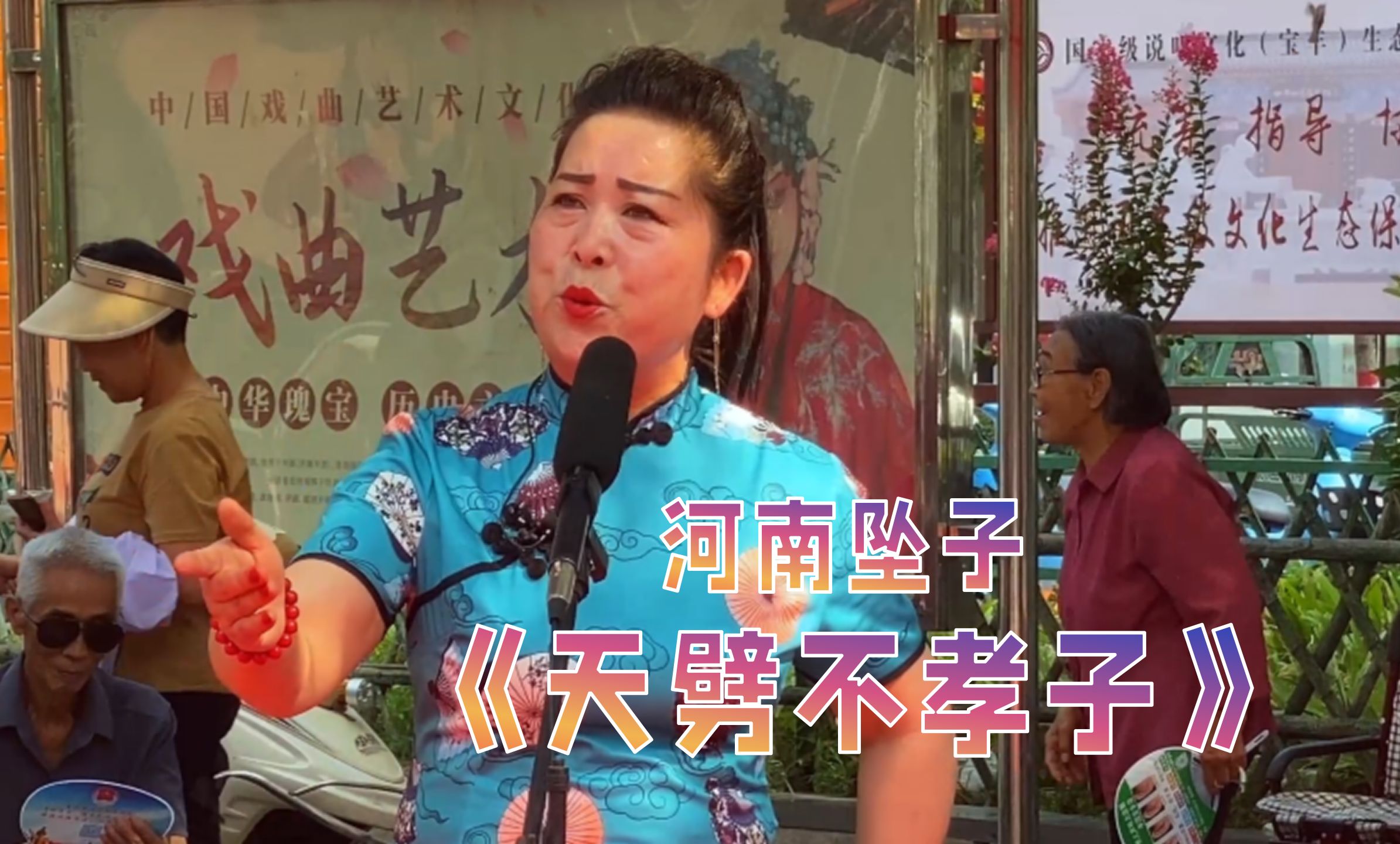 河南坠子《天劈不孝子》书状元王雪会