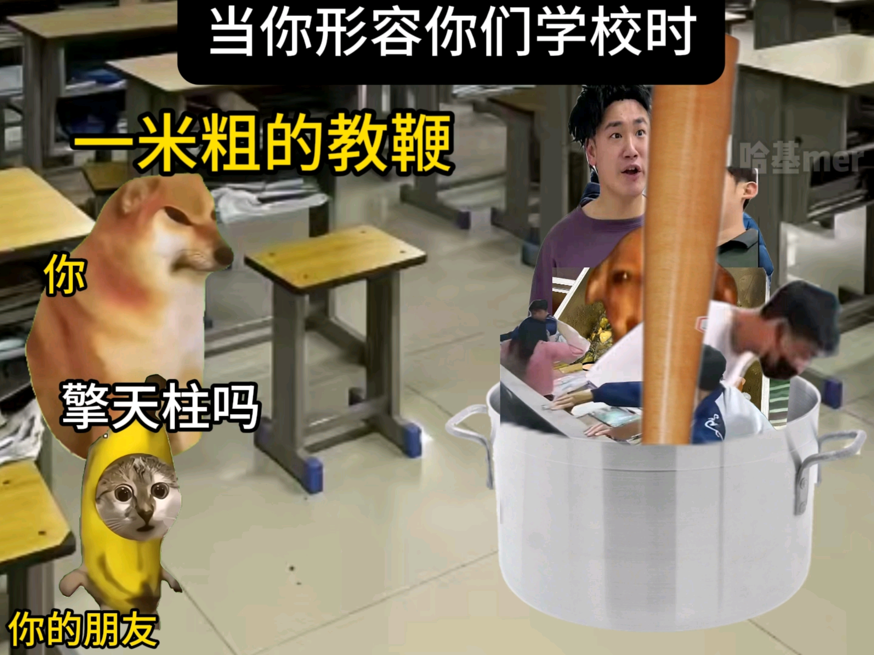 当你给你朋友形容你们的学校#千年老山参