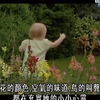 探索频道《婴儿成长》全六集 中文字幕 婴儿