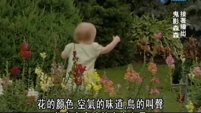 探索频道纪录片《婴儿成长》全六集 中文字幕 婴儿纪录片