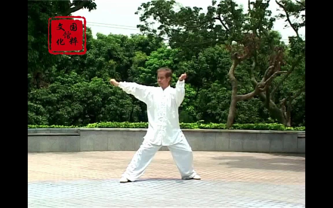 08 陈式太极传统老架83式