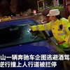 拒绝查酒驾被民警强制破窗 奔驰女司机：吃了蛋黄派怕查出酒驾