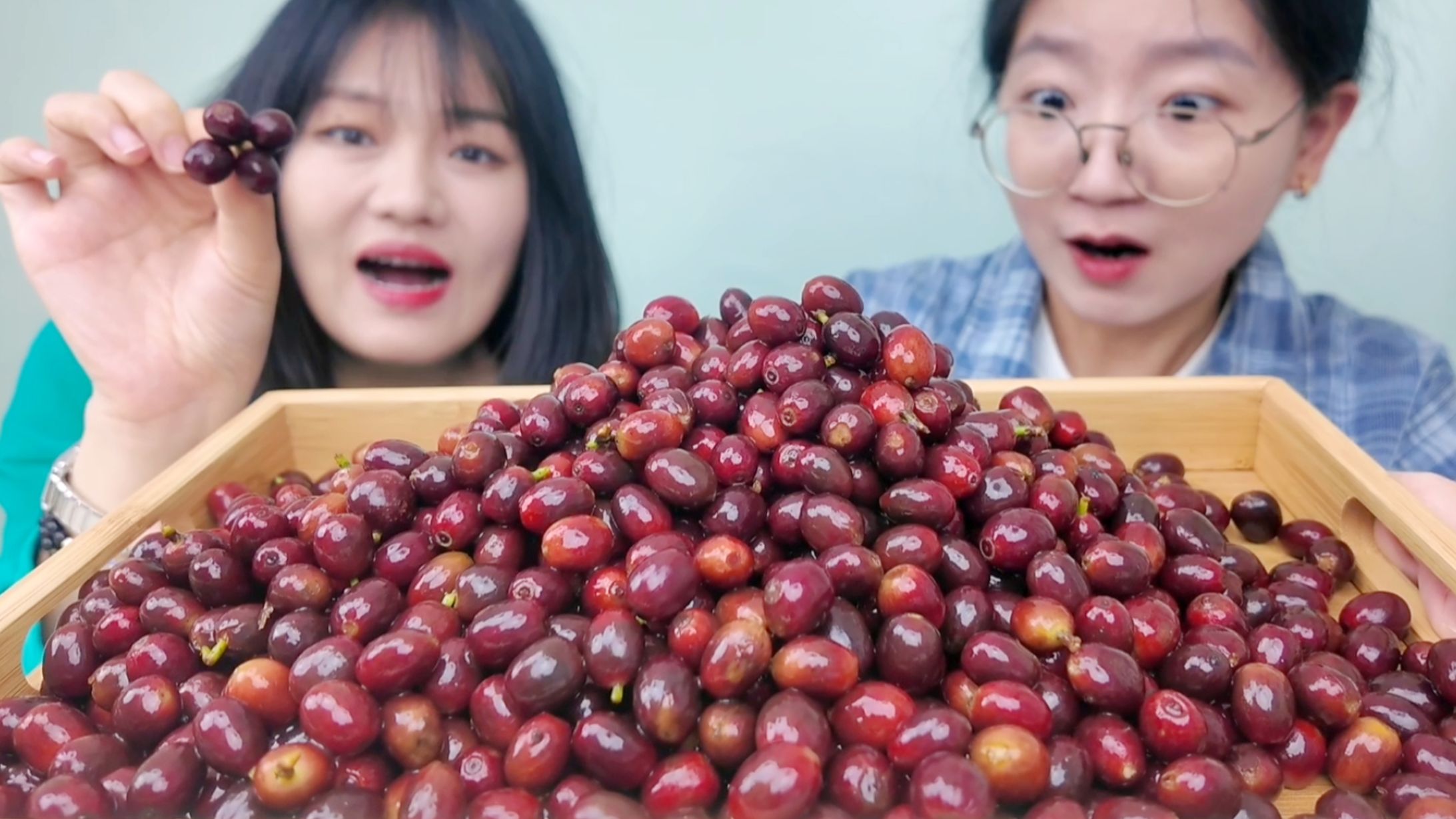 咖啡豆竟然是一种水果？！第一次见“活的”咖啡豆
