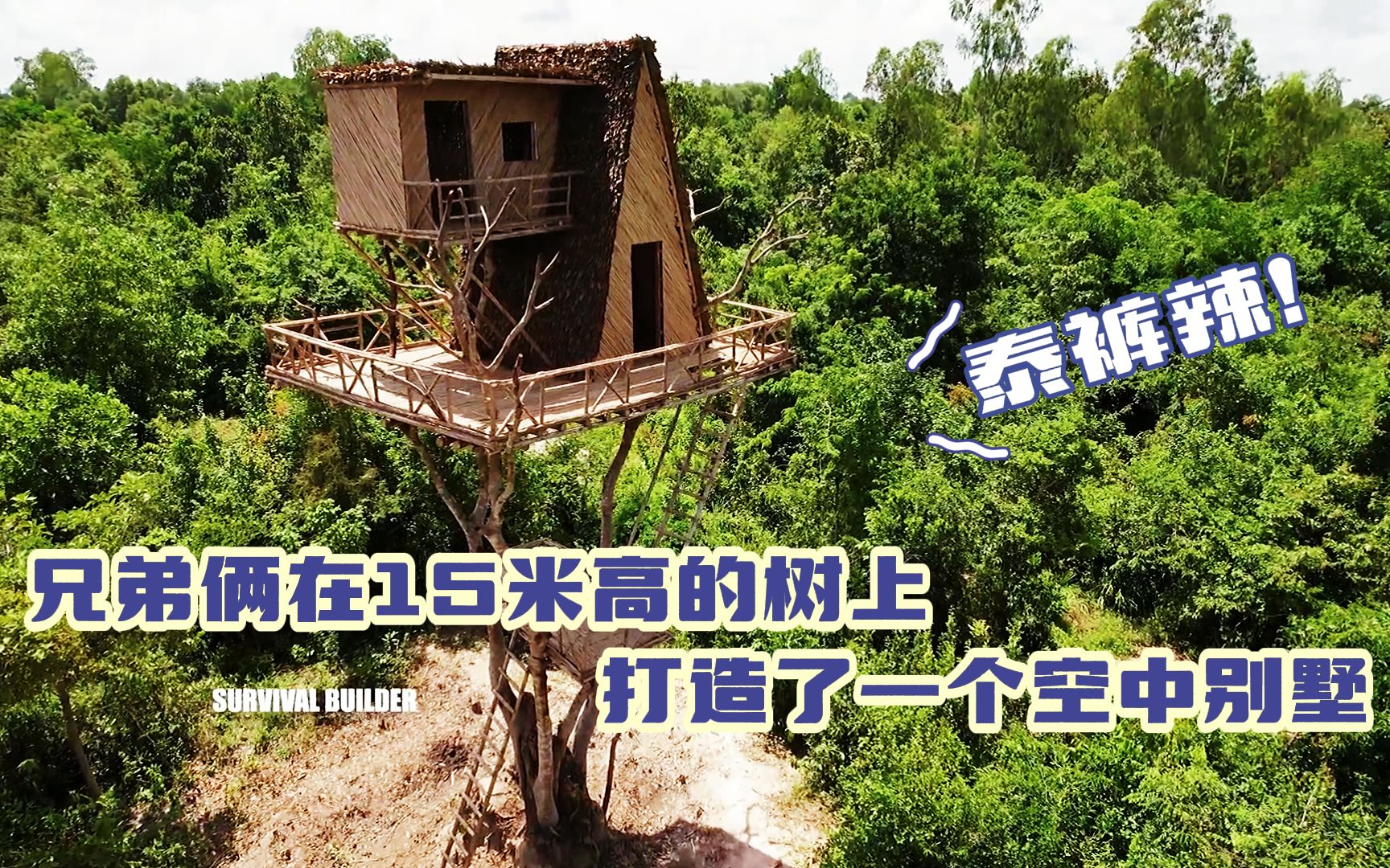 兄弟俩徒手在15米高的枯树上打造了一个空中阁楼，真是建筑鬼才！