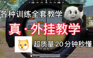 《和平精英》全套训练教学！超质量20分钟！简单秒懂！外挂教学！【和平精英】(视频)