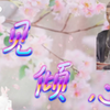 【战山为王】(染湛)一见倾心第五集