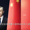 向你走来的是钦命安南都护府大都督，湄公河漕运总督 温文儒雅绵里藏针 气场强大扬我中华  陌上人如玉 公子世无双  汪文斌