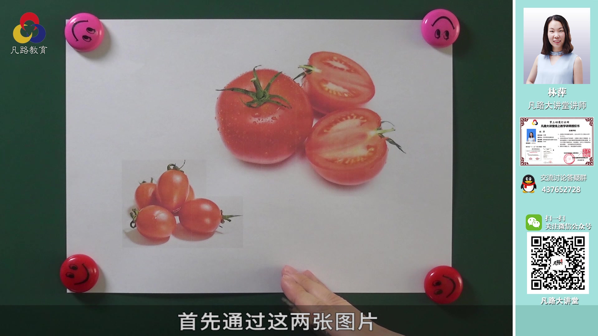 西红柿和圣女果入门素描美术绘画凡路大讲堂手绘
