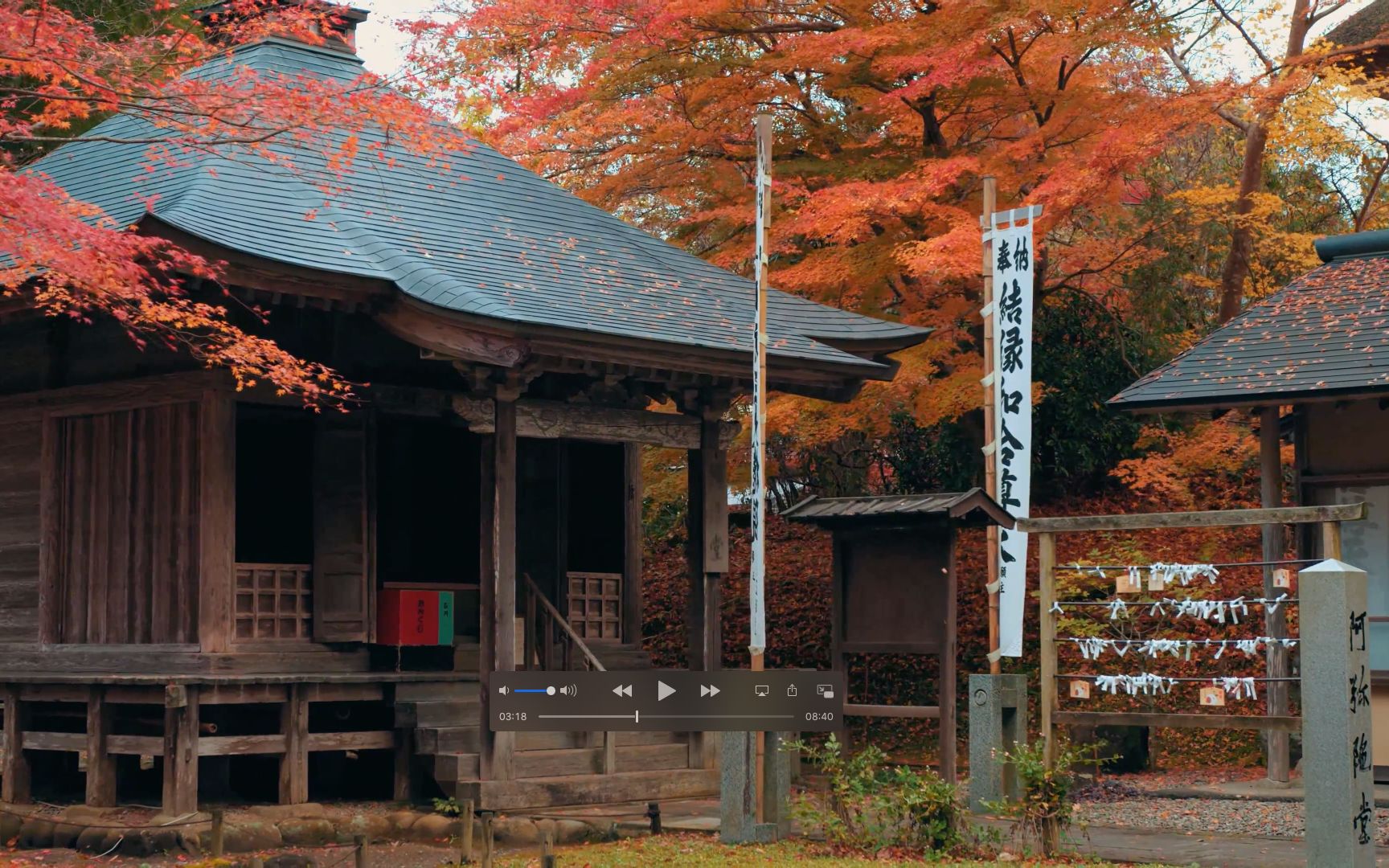 世界的庭院 4k 60p 金色堂的晚秋 日本岩手县关山中尊寺红叶季 哔哩哔哩 つロ干杯 Bilibili