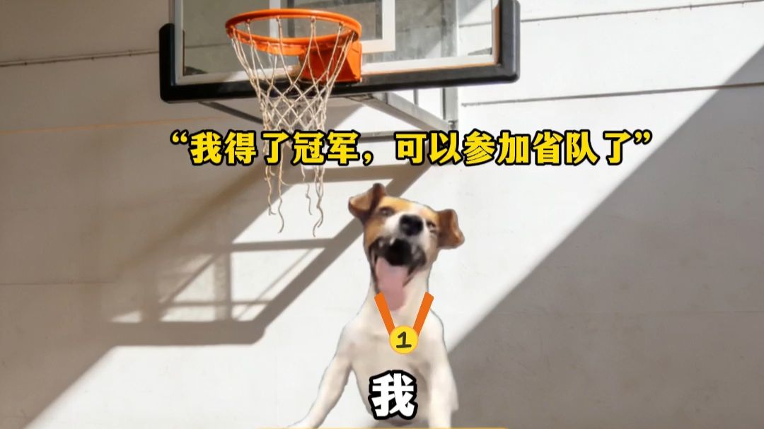 如何获得爸爸的认可？