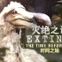 【中文熟肉】Channel4纪录片 灭绝之谜  第1集：渡渡鸟