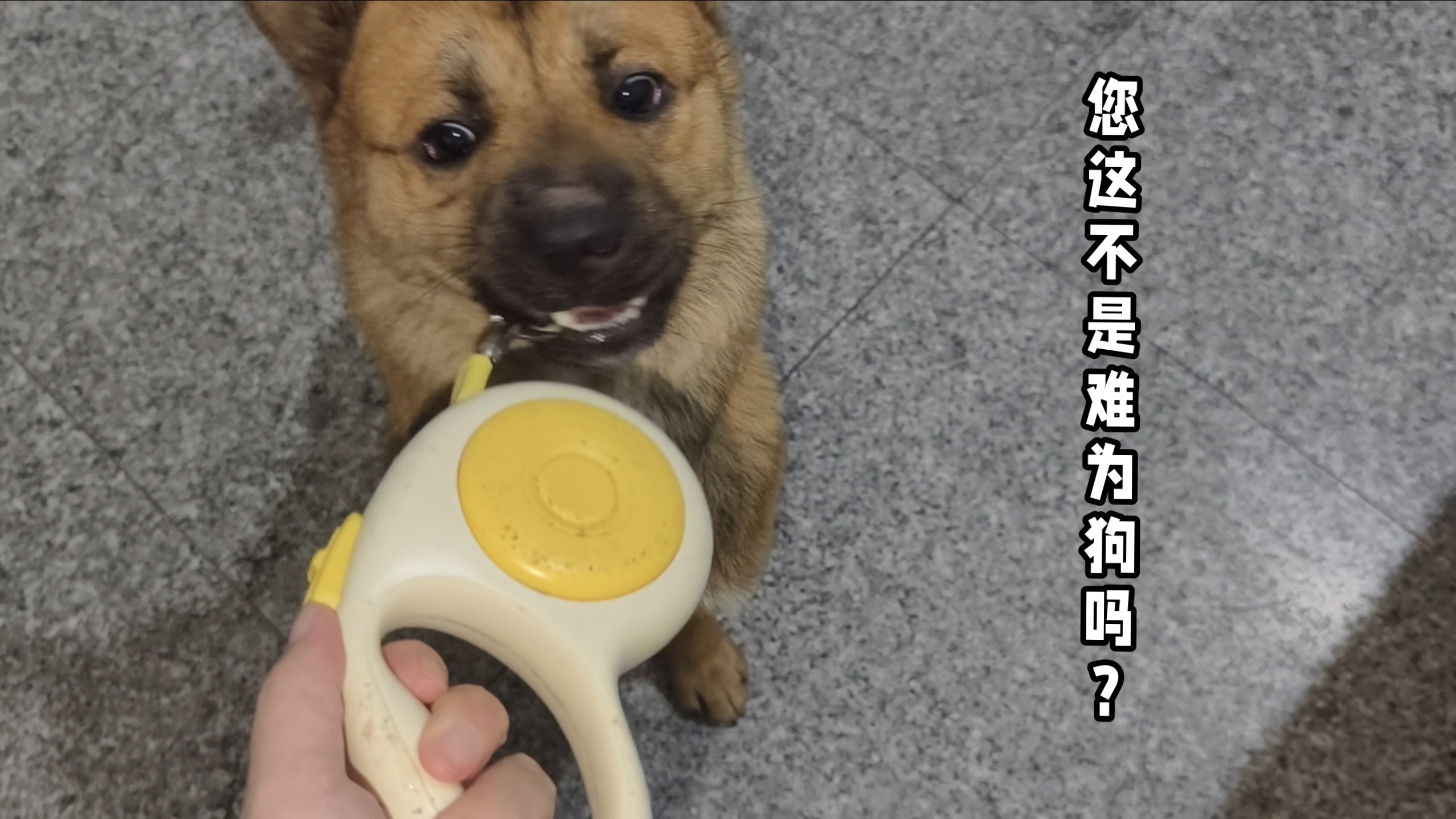 要通过考验，才能放你出去哦！