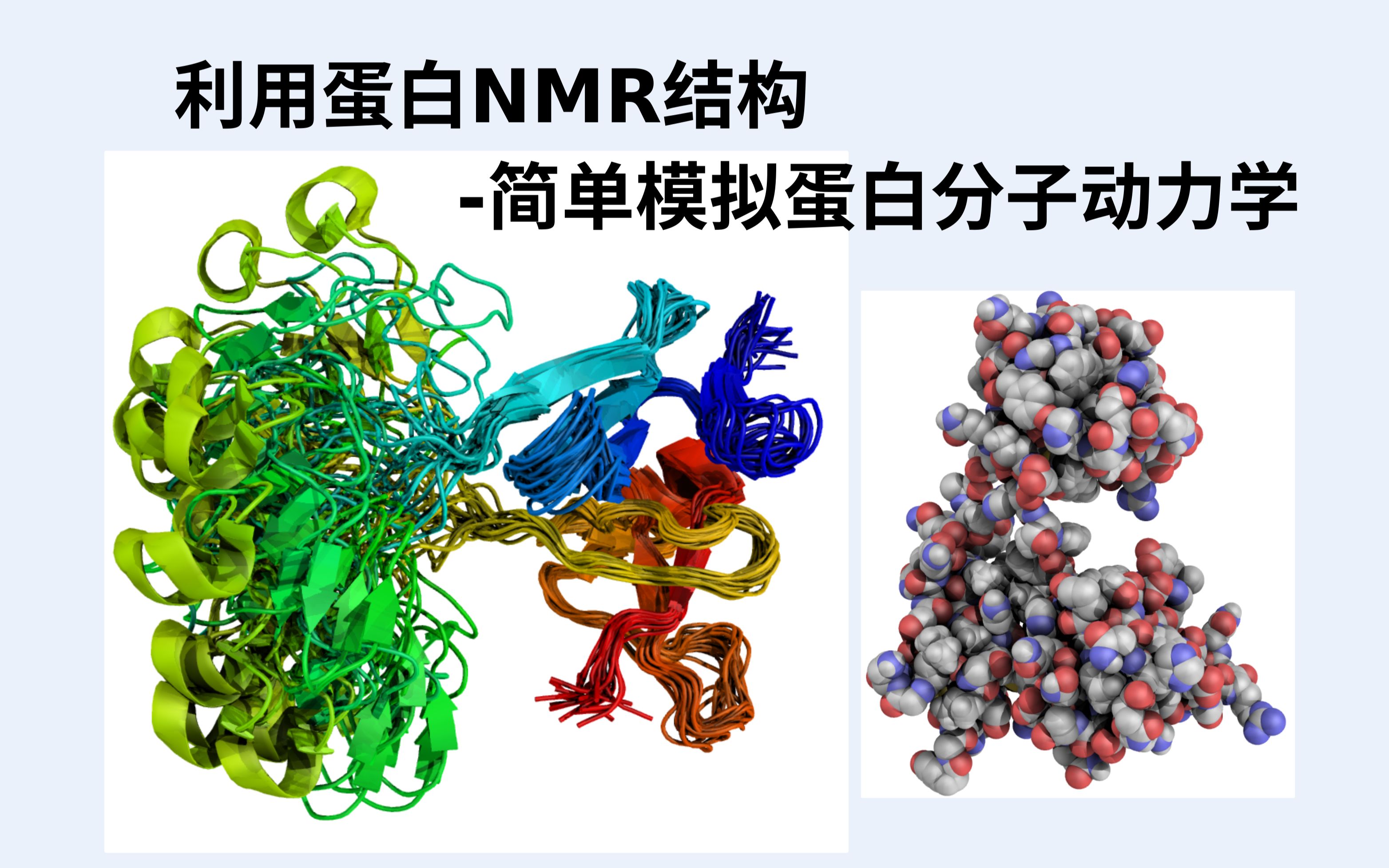 Protein & Cell∣揭示RNA结合蛋白RBM46调控减数分裂新机制-山东大学妇儿与生殖健康研究院