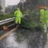 超强台风“苏拉”来袭，深圳多路段发生大树、铁架倒塌。台风影响期间切勿外出，尽量在安全的建筑屋内躲避。