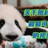 【熊猫】听说，园长妈妈觉得这是喀秋莎最最可爱的视频～