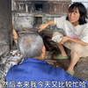 本科女大学生远嫁小学毕业男的农村留守生活vlog