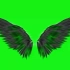 翅膀特效绿幕素材分享